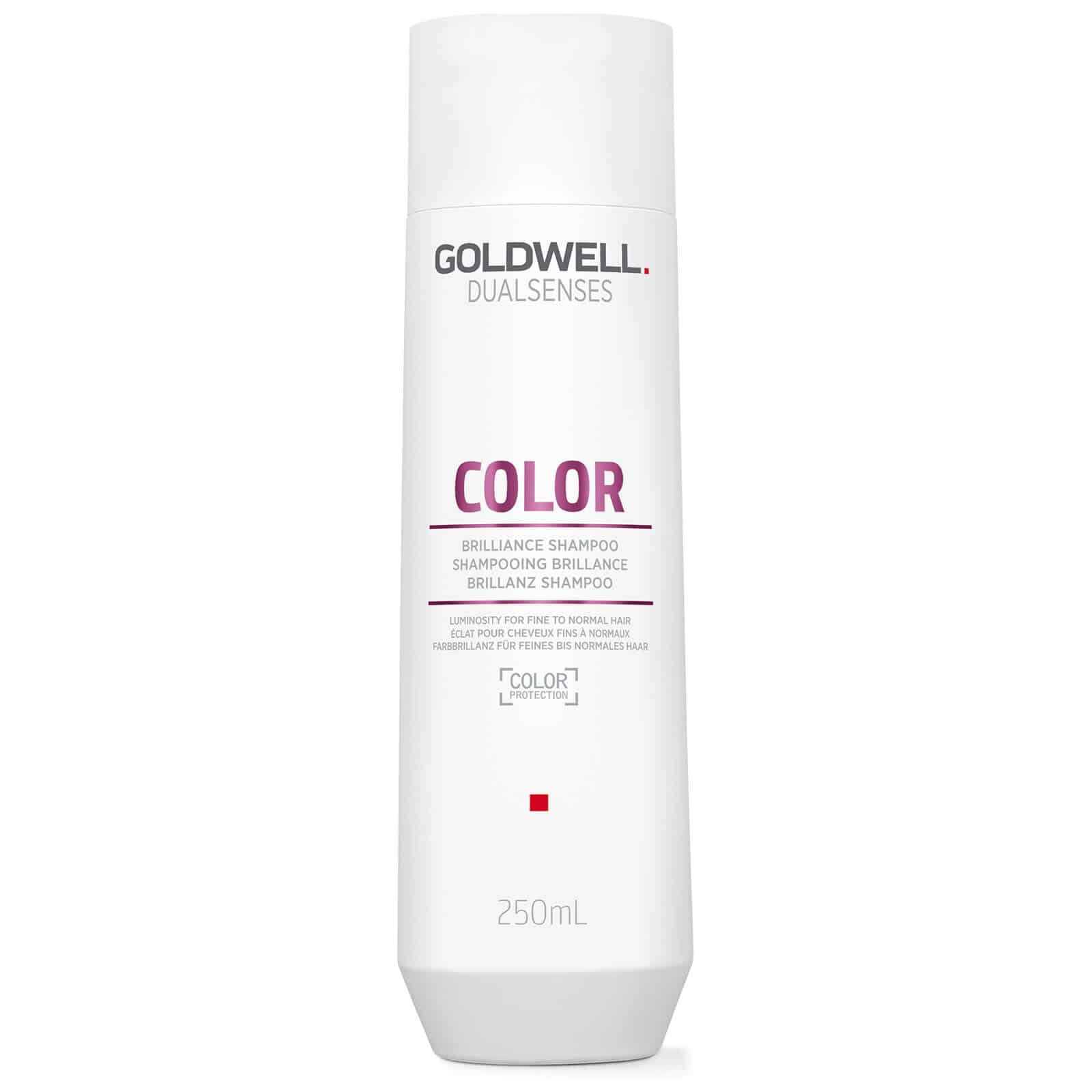 Dažytų plaukų šampūnas Goldwell Dualsenses Brilliance Color Shampoo