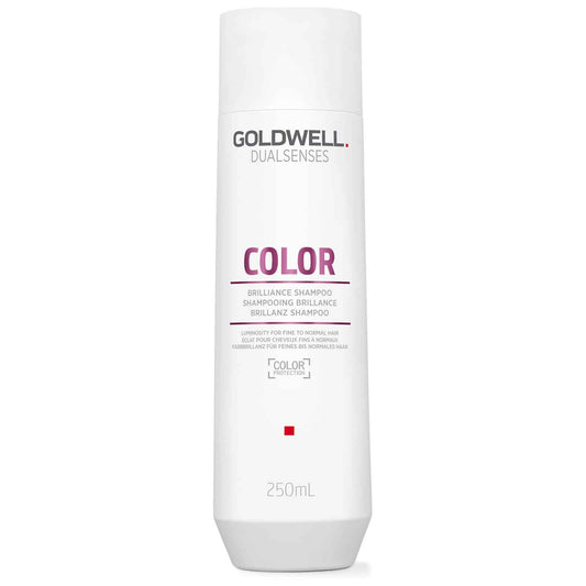 Dažytų plaukų šampūnas Goldwell Dualsenses Brilliance Color Shampoo