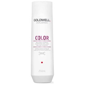 Dažytų plaukų šampūnas Goldwell Dualsenses Brilliance Color Shampoo
